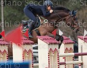 Arioldi F Ambra TosTour 2013- S4 6591 : Ambra, Arezzo Equestrian Centre, Arioldi Francesca, Toscana Tour 2013, foto di Stefano Secchi ©